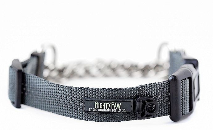 A high class martingale collar for pitbulls, Mighty Paw delivers unprecedented training performance.