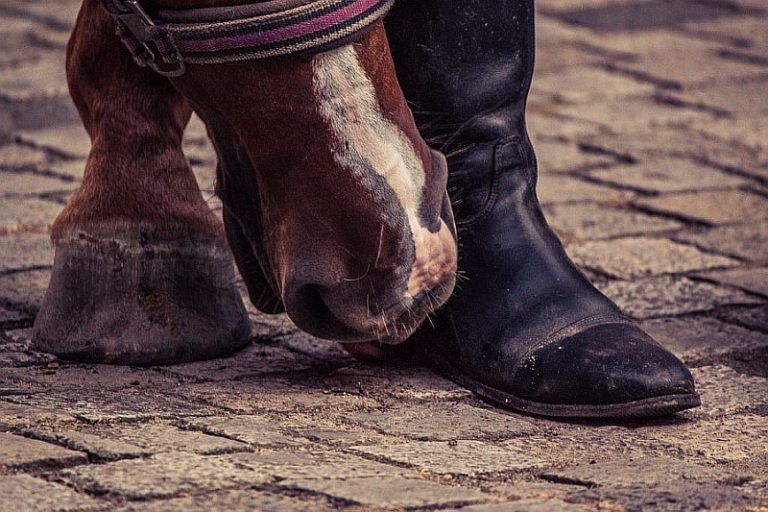 Ariat vs Justin Boots All You Need to Know About Them
